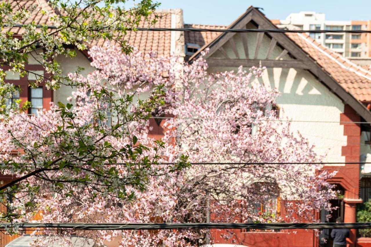 Providencia Bed & Breakfast Santiago Ngoại thất bức ảnh