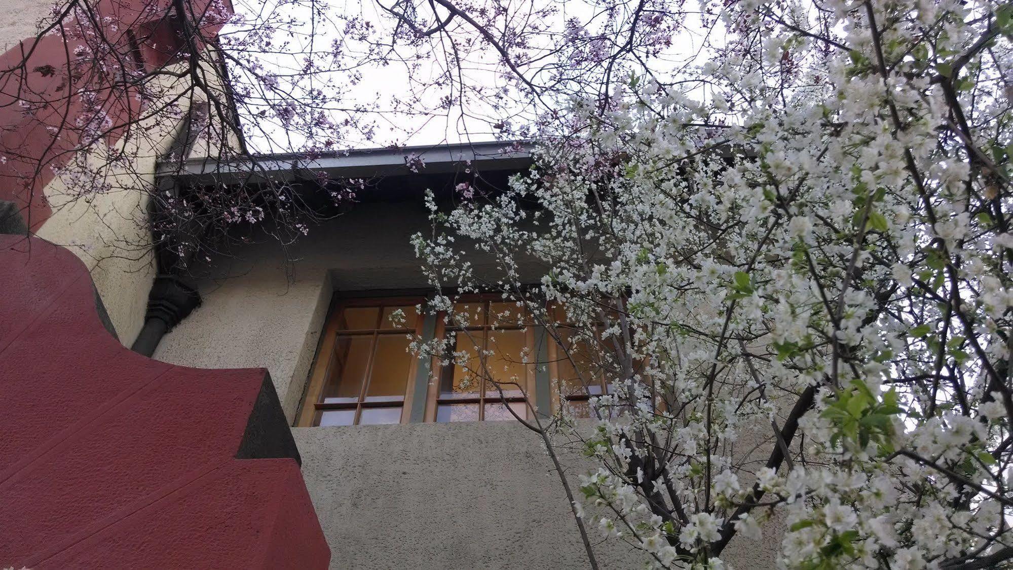 Providencia Bed & Breakfast Santiago Ngoại thất bức ảnh